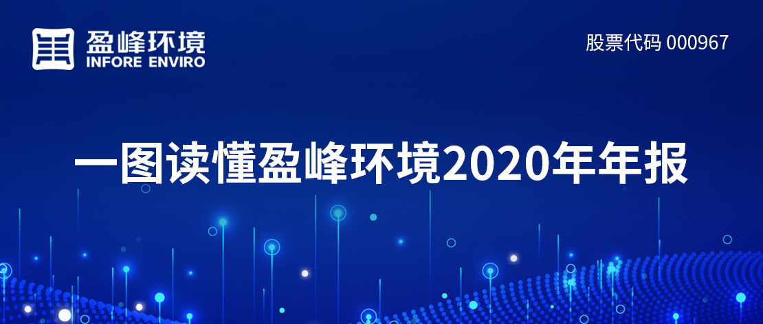 一图读懂人生就是搏环境2020年年报